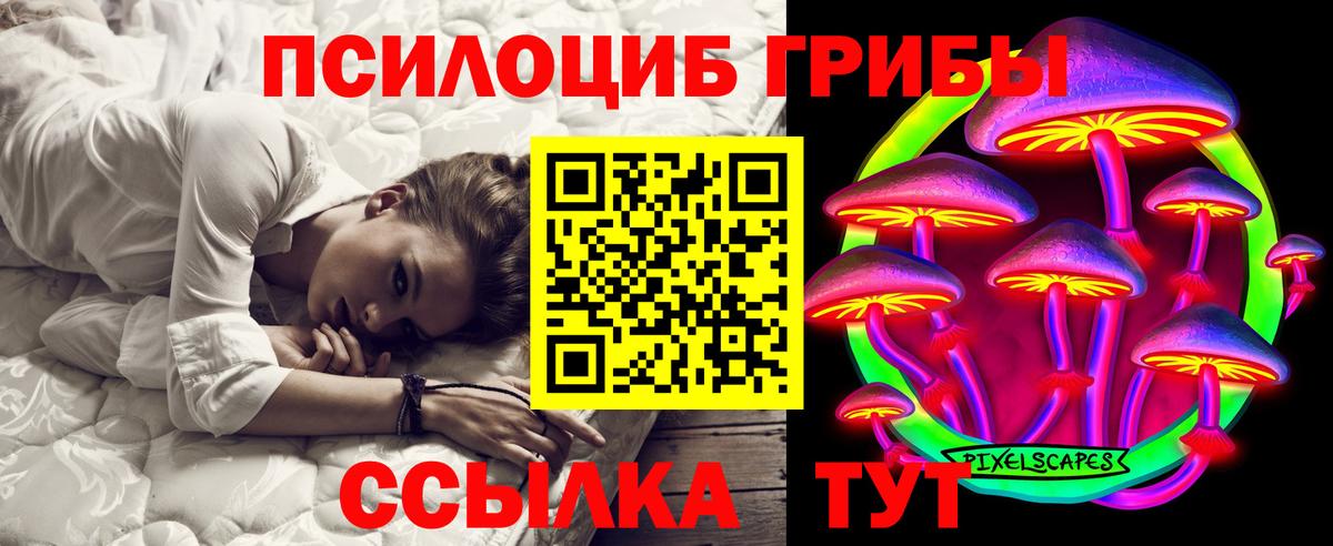 Мурманск  Галлюциногенные грибы Cubensis  Вход с VPN  даркнет сайт  Галлюциногенные грибы GOLDEN TEACHER 